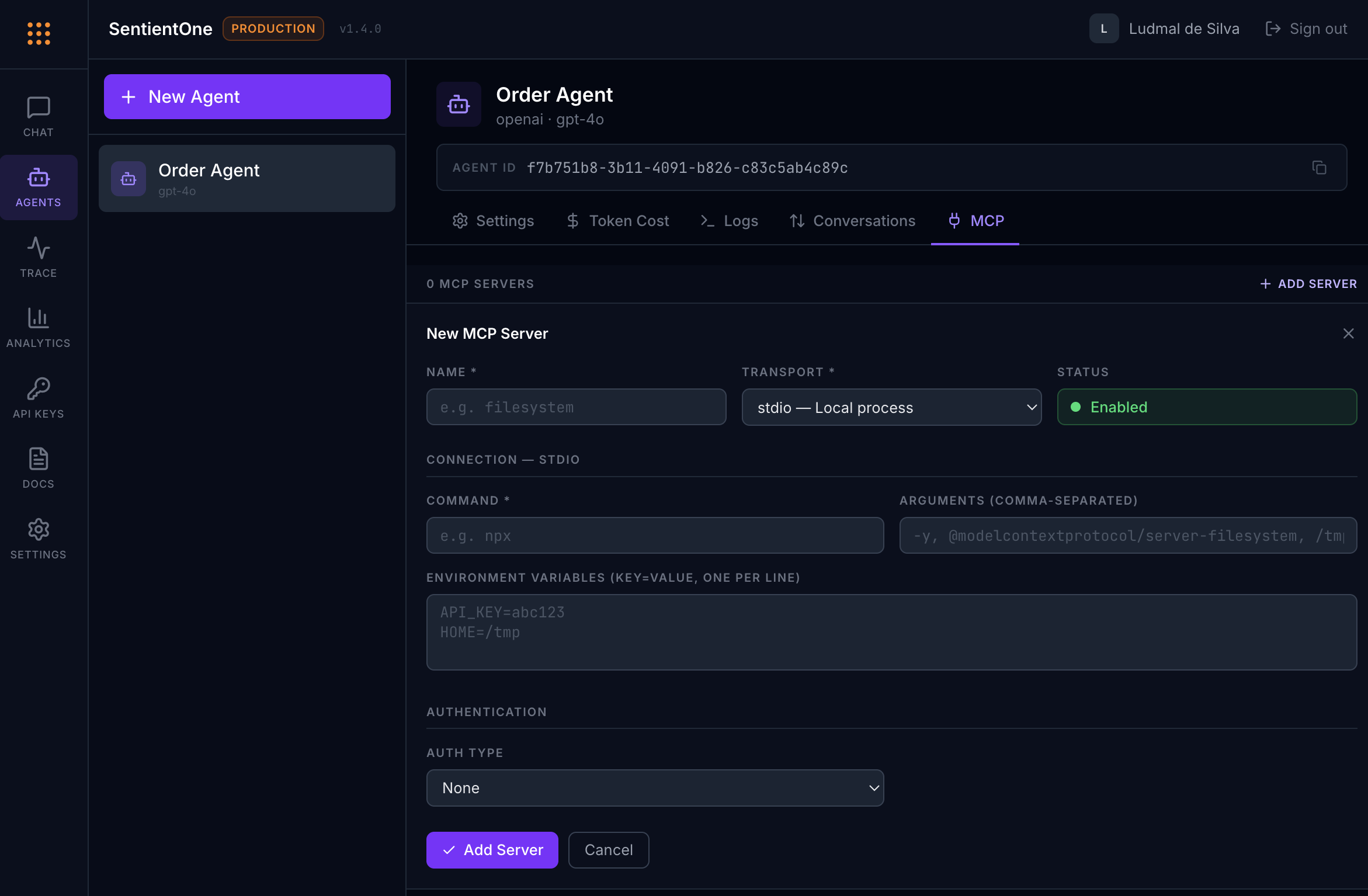 MCP Server integration screenshot